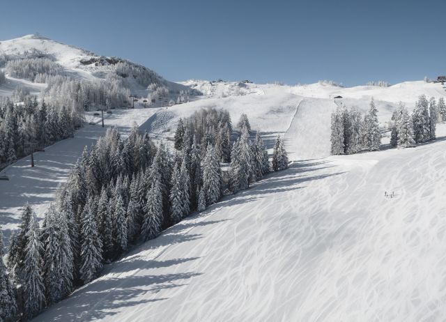 Familienskigebiet_Steinplatte_Winklmoosalm_c)FreezingMotions (2).jpg